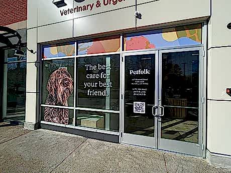 Window Graphics in Charlotte, NC