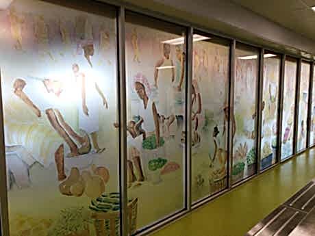 Window Graphics in Charlotte, NC