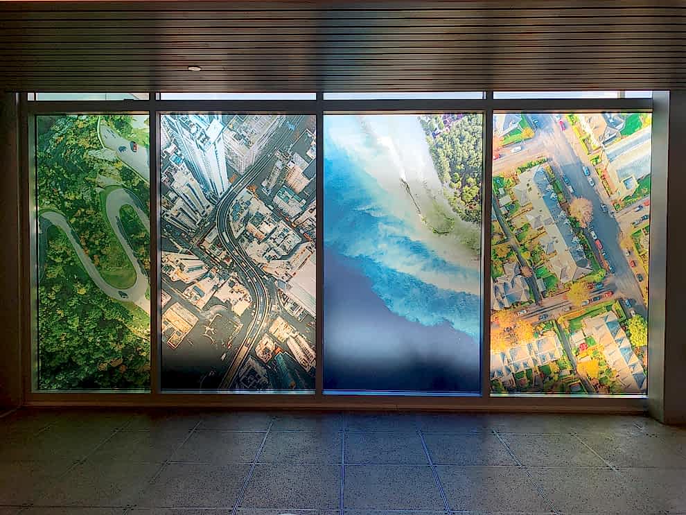 Window Graphics in Charlotte, NC designed and installed for business storefront and office glass